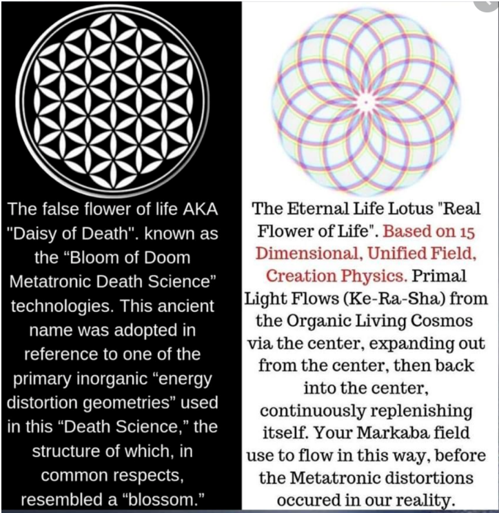 Base 10 Flower of Life vs Eternal Flower of Life